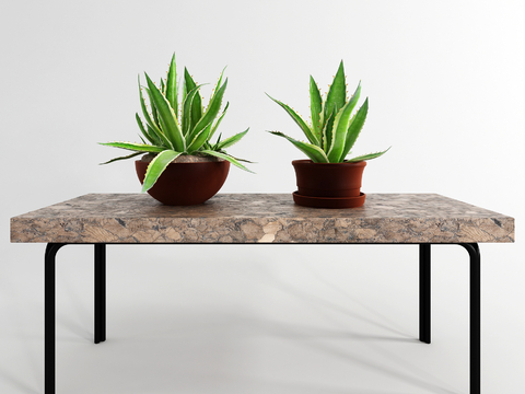 Modern Tiger Piran Potted Plant