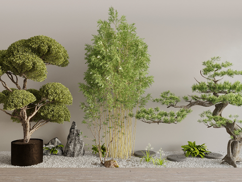 Modeling melon seeds and poplar modeling five-needle pine bamboo bonsai