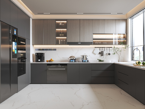 Modern Kitchen Cabinets