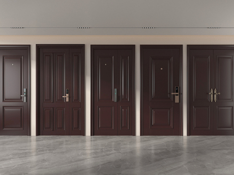 Entry door single door conference room door password door