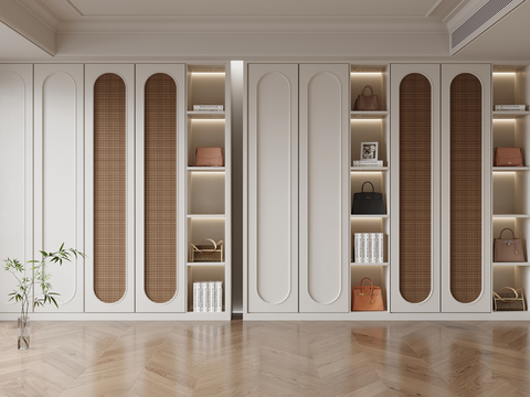 Modern Wardrobe Closet