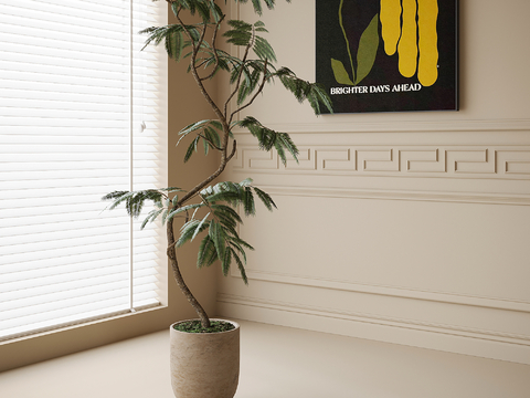 modern potted plant