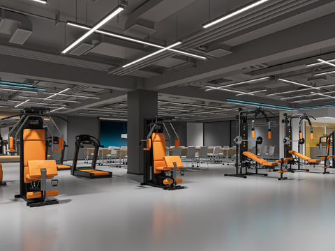 Modern Gym