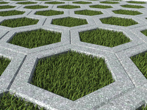 grass-planting brick grass-inlaying brick square brick