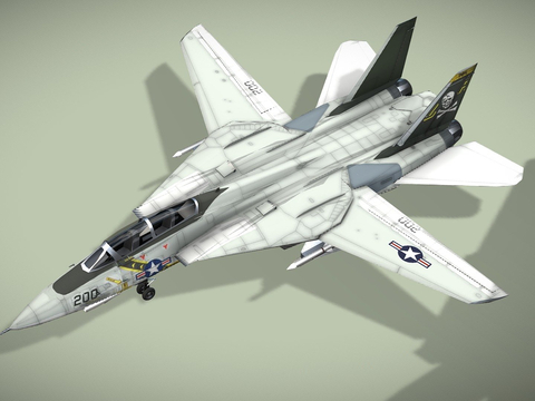 Tomcat Fighter