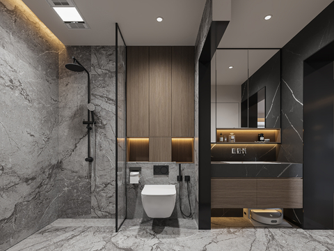 Modern Toilet Bathroom