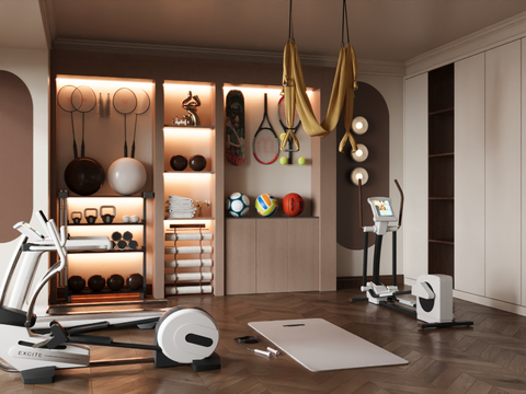 Modern Home Gym Recreation Room