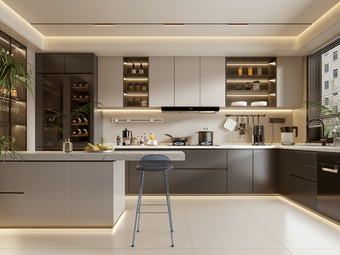 Modern semi-open kitchen