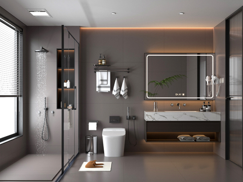 Modern Toilet Bathroom