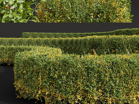 Modelling shrub pruning shrub hedge