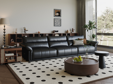 Couch leather sofa