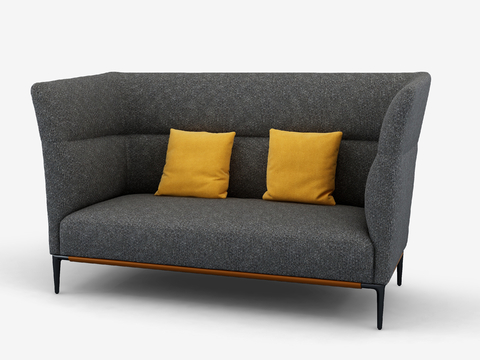 Modern double sofa