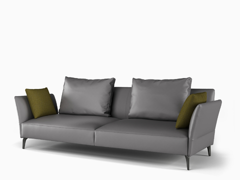 Modern double sofa