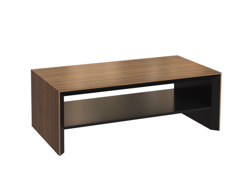 Guanchen modern coffee table