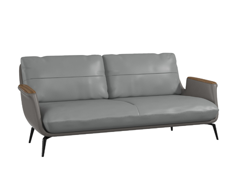 Guanchen modern double sofa