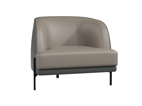 Guanchen Modern Single Sofa