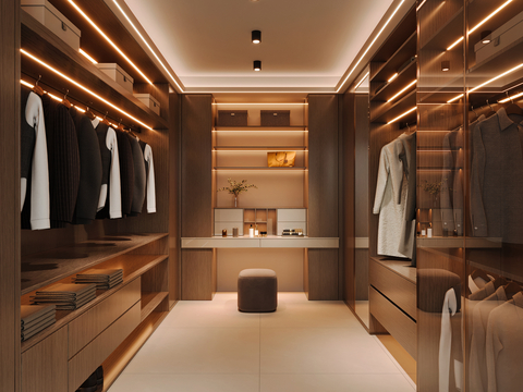 Modern walk-in closet