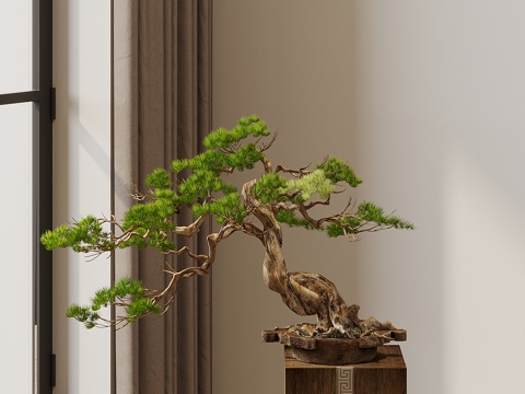 Neo-Chinese Style Welcome Pine Bonsai