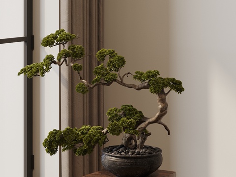 Neo-Chinese Style Potted Plant Yingke Pine