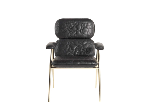 roberto cavalli armchair