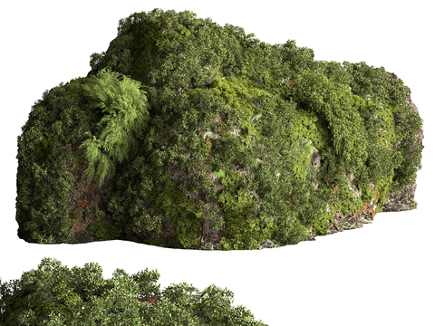 Moss on the stone