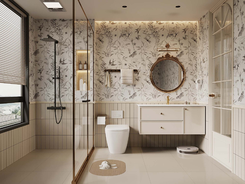 French Toilet Bathroom Cabinet Shower Toilet