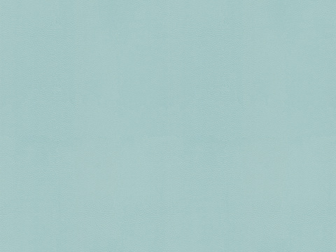 Sky Cyan Fine-grain Leather