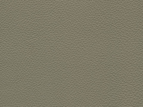 Grey Coarse-Grain Leather 2