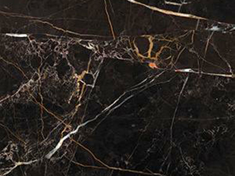 Black Golden Flower Marble Black Marble