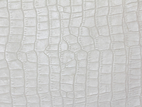 White alligator skin texture