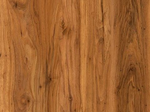 Elm wood veneer