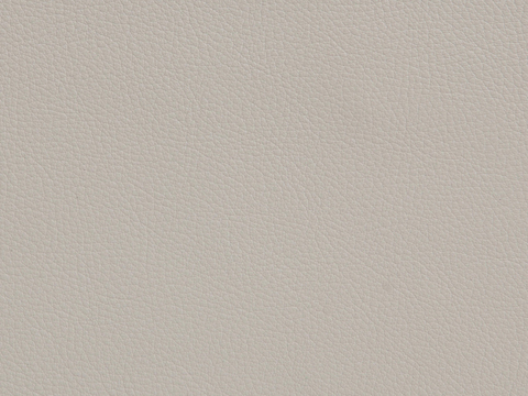 light gray fine grain leather