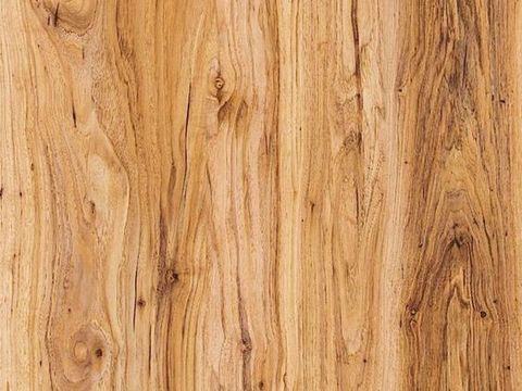 Wood grain preservative wood veneer