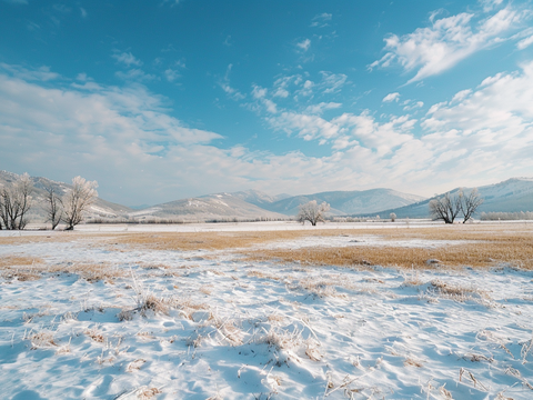 snow grassland