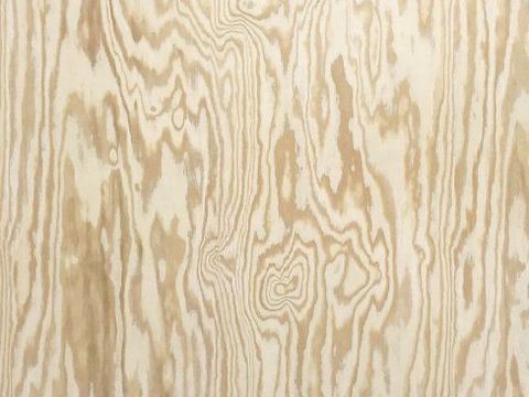 Wood grain preservative wood veneer