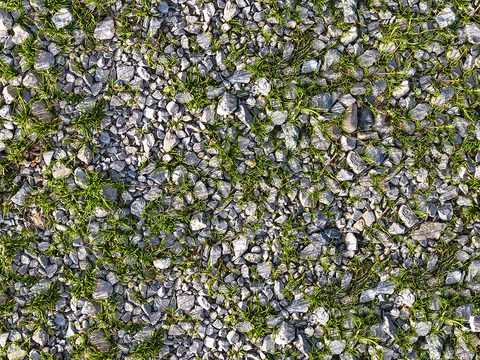 Seamless gray gravel goose soft stone gravel grass turf lawn ground