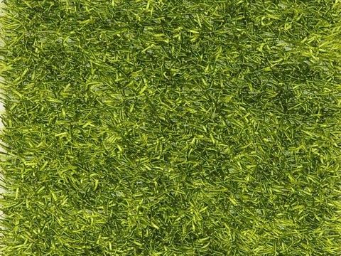 grass lawn green space