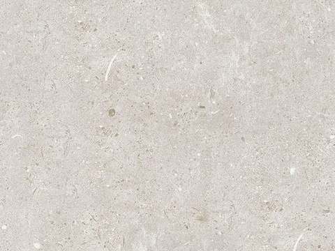 Rice gray terrazzo rock slab marble