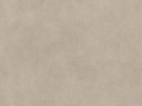 light brown Texture Paint