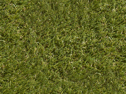 grass lawn green space
