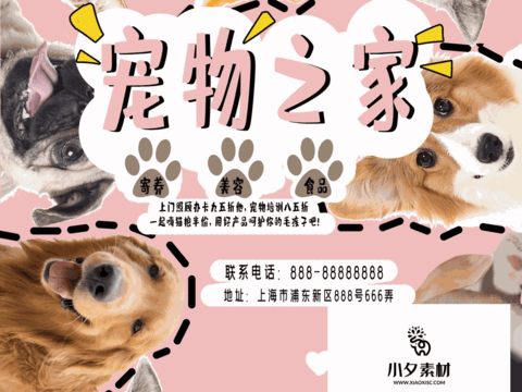 Pet shop pet hospital cute pet poster