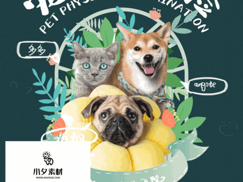 Pet shop pet hospital cute pet poster