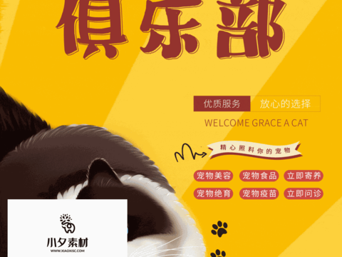 Pet shop pet hospital cute pet poster