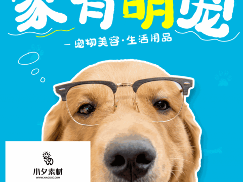 Pet shop pet hospital cute pet poster