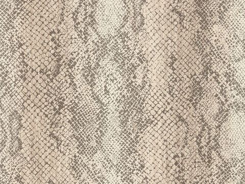 Snakeskin Pattern