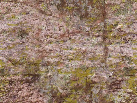 Seamless moss weathered rock wall