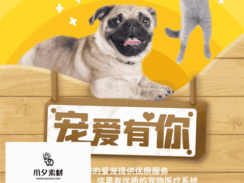 Pet shop pet hospital cute pet poster