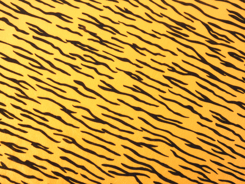 Tiger print pattern