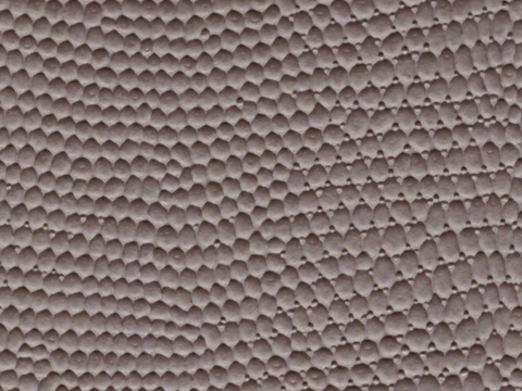 lizard skin animal skin