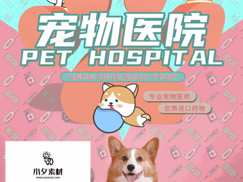 Pet shop pet hospital cute pet poster